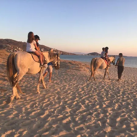 דירה Ploes Seaside *