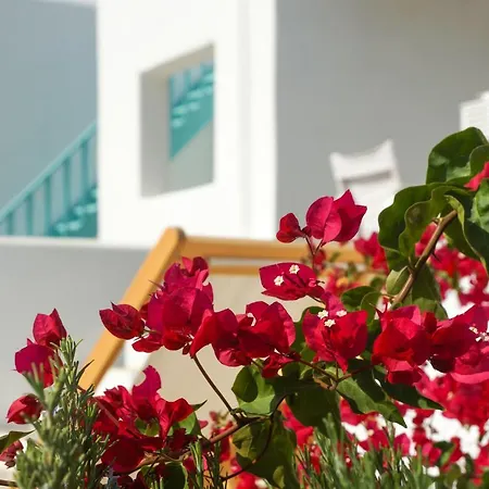 Ploes Seaside Apartment *